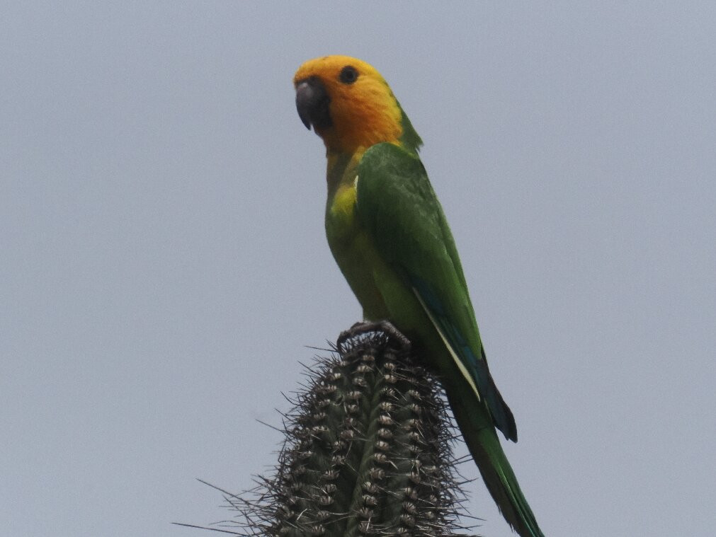 Washington-Slagbaai National Park Visitor Center Museum-Washington-Slagbaai National Park必去景点