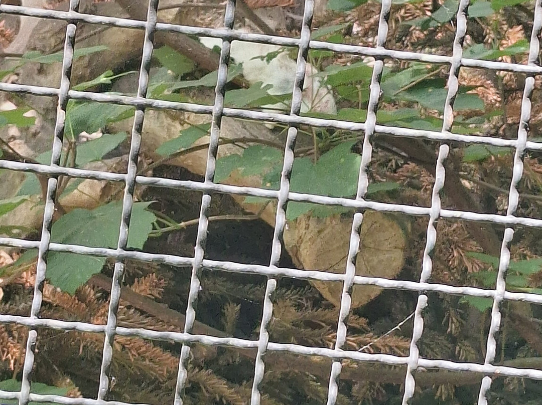 Zoo Dortmund-多特蒙德必去景点