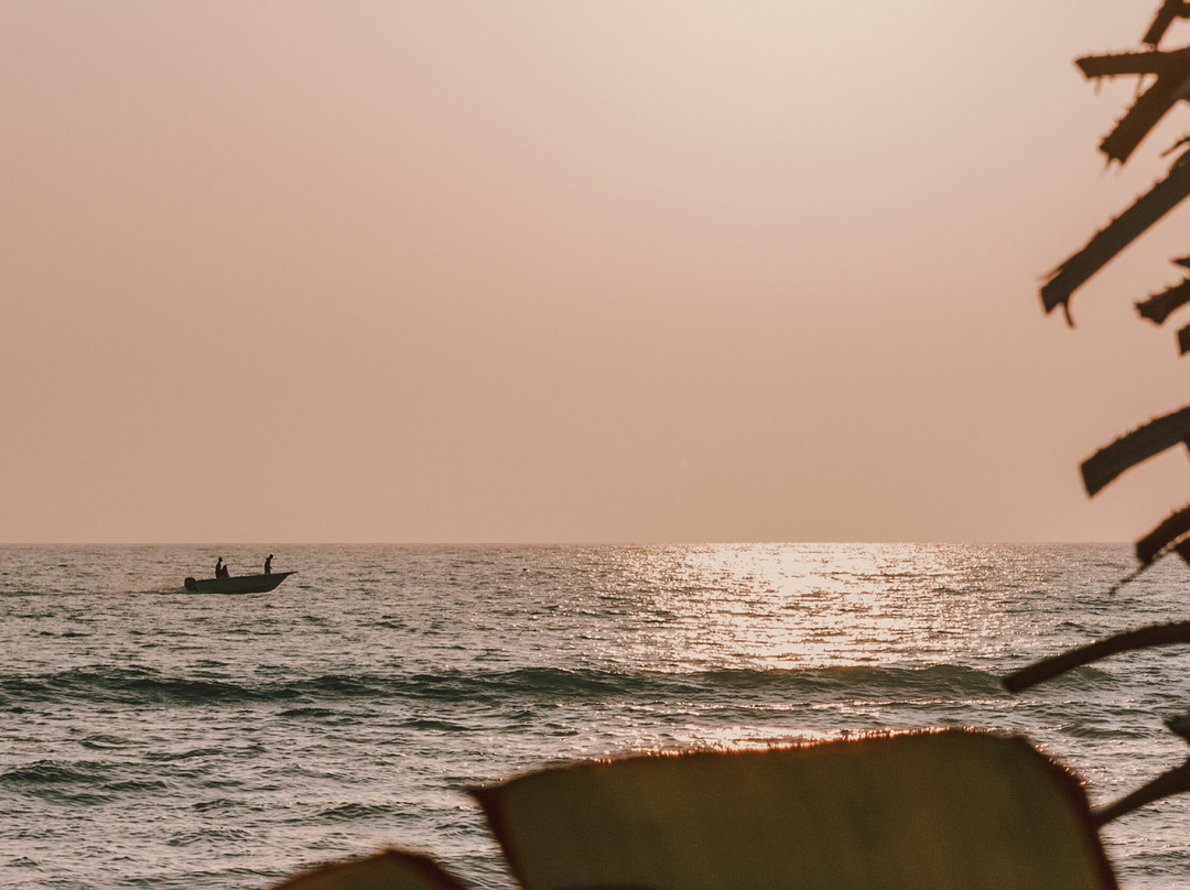 Albatros Beach & Resort