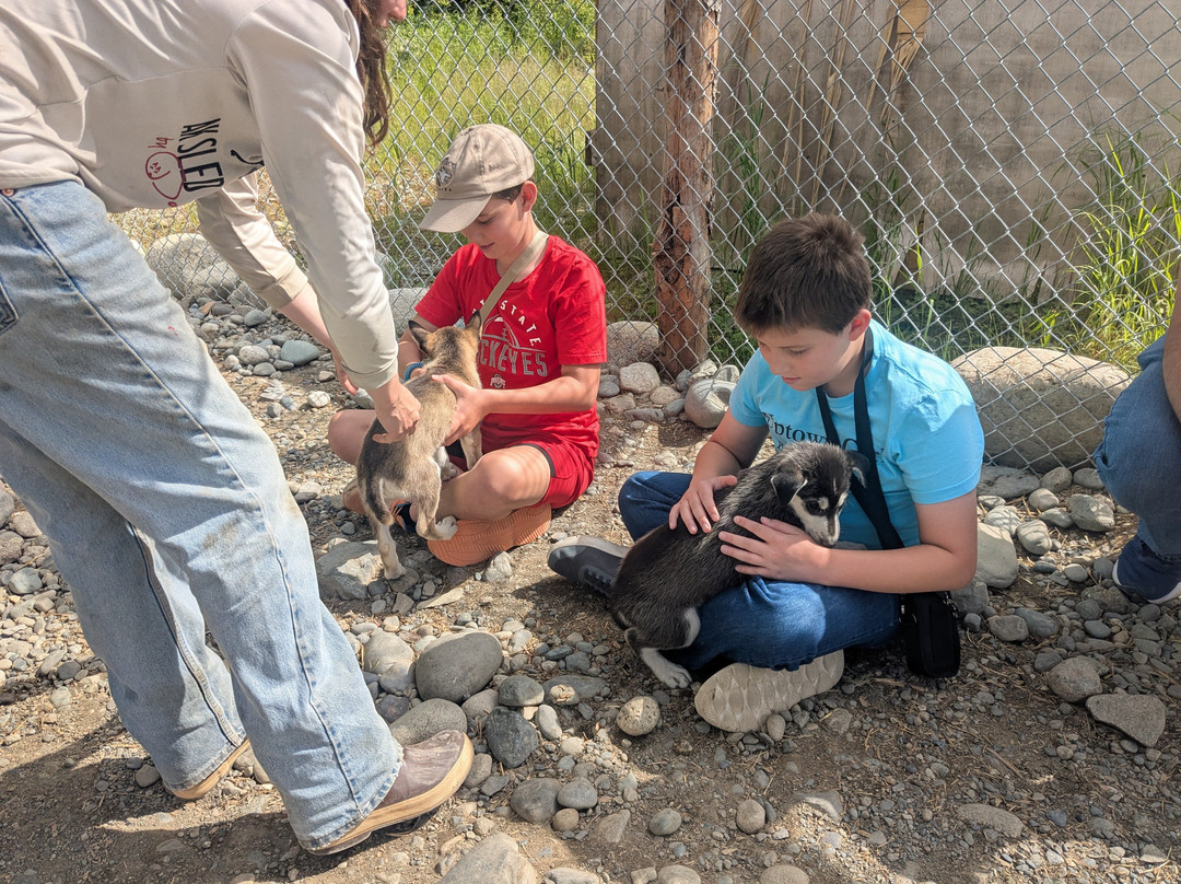 AK Sled Dog Tours-塔尔基特纳必去景点