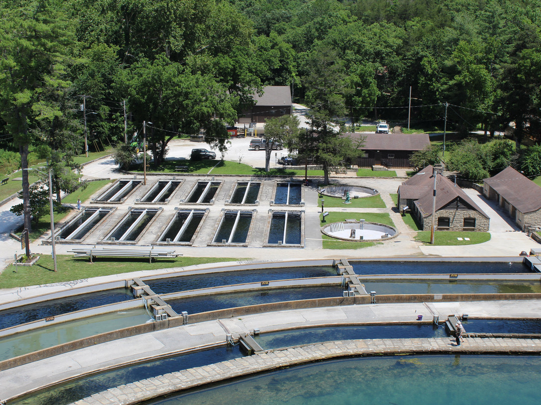 Roaring River State Park-Cassville必去景点