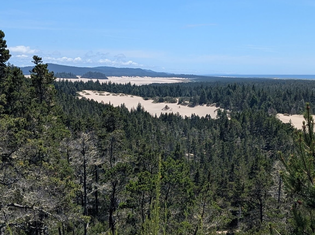 沙地冒险-弗洛伦斯必去景点