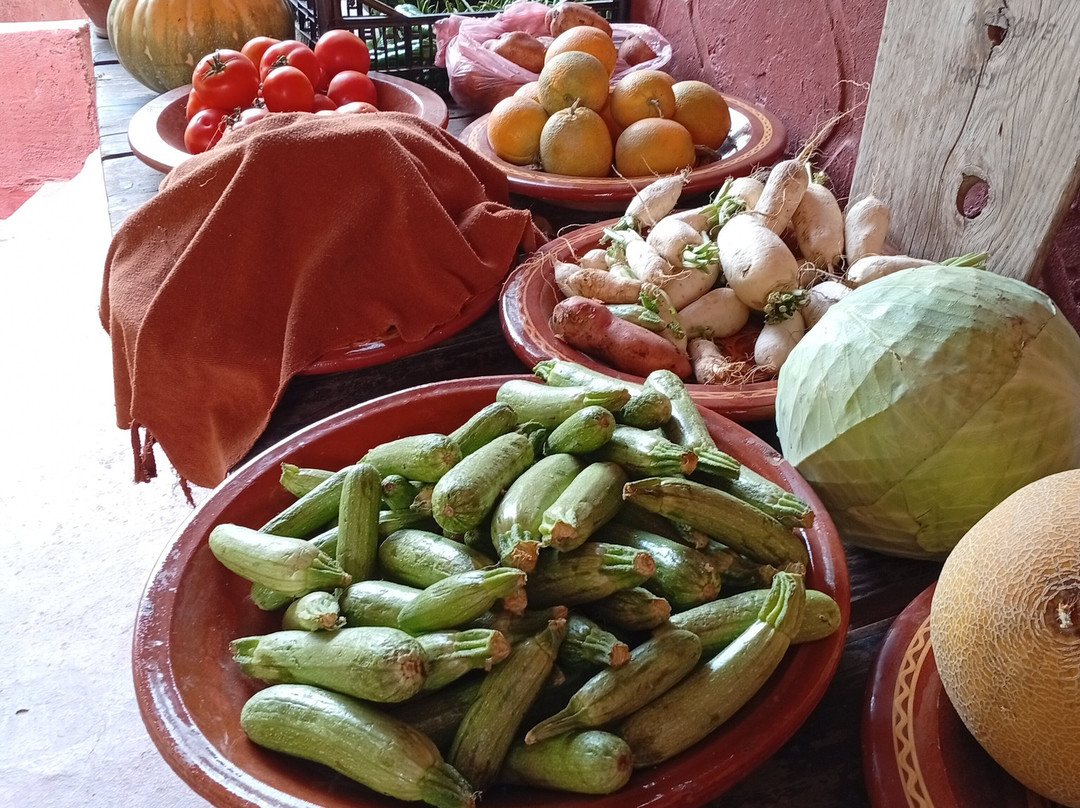 Salama Ayurveda主图