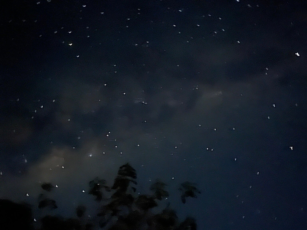 Pousada Águas do São Francisco主图