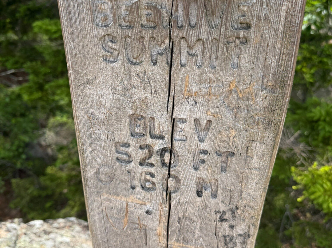 Champlain Mountain & Beehive Loop Trail-阿卡迪亚国家公园必去景点