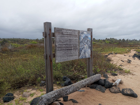 Playa de los Perros-阿约拉港必去景点