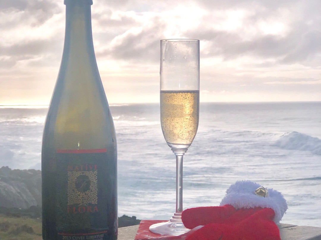 Native Flora Wines-纽伯格必去景点