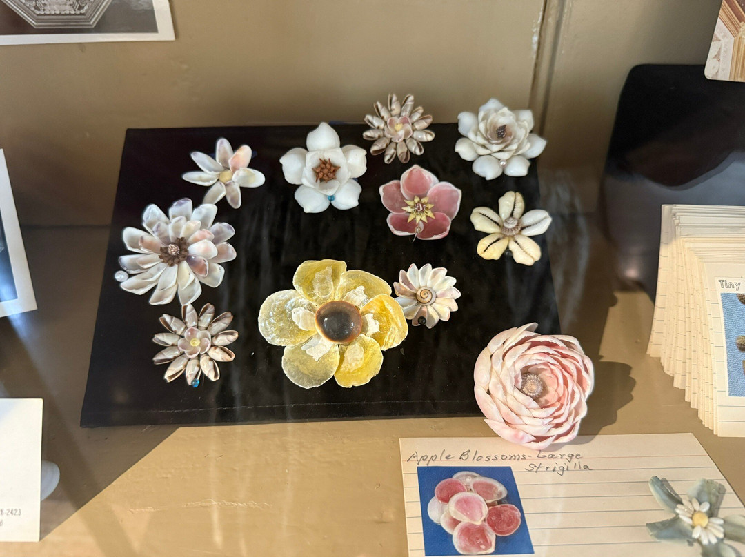 Cahoon Museum Of American Art-Barnstable必去景点