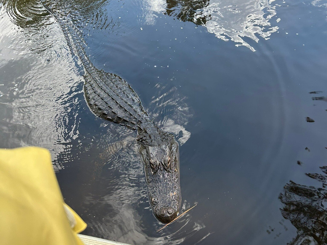 Gulf Coast Gator Ranch & Airboat Swamp Tours-莫斯波因特必去景点