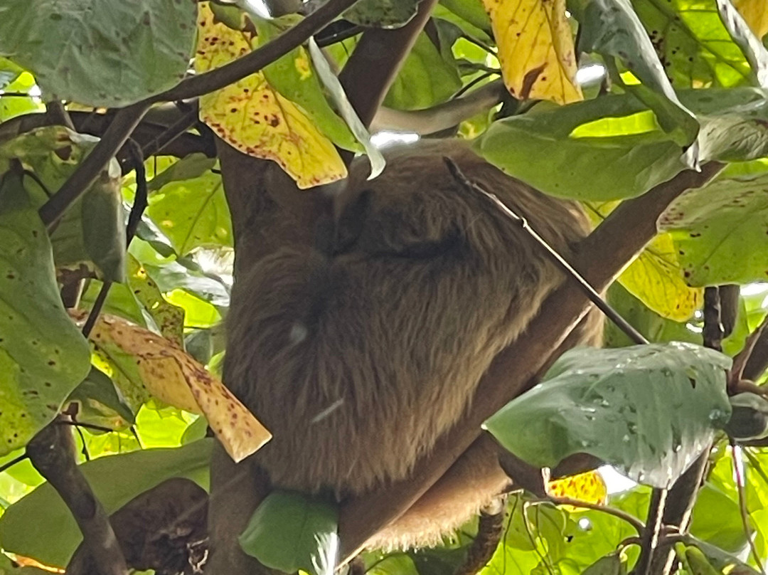 Odyssey Tours Costa Rica-彭塔雷纳斯必去景点