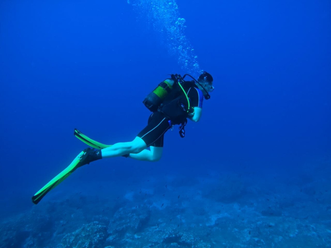 Salt Water Divers-埃尔穆波利必去景点