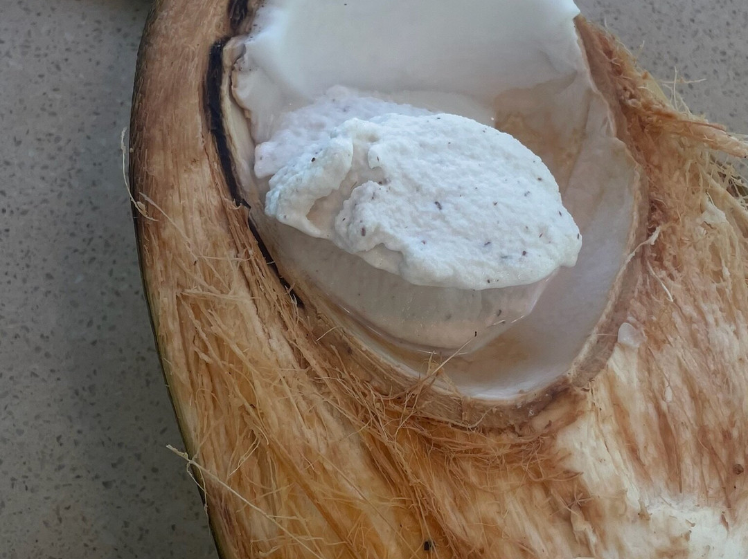 Coconut Information Farm & Cooking School-海库必去景点