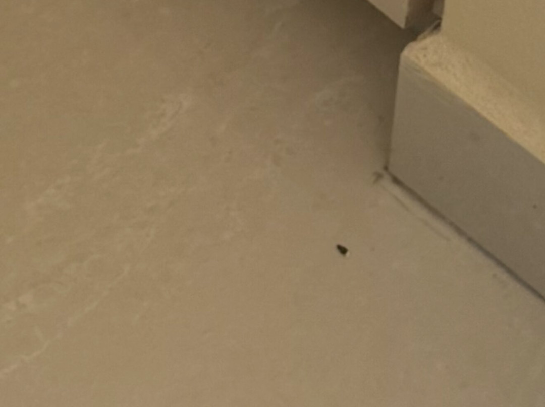 Horizon View Beach Hotel主图