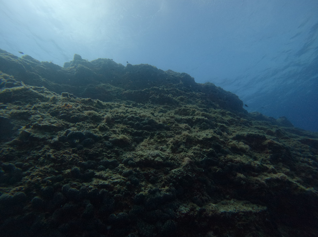 Blue Yard Hub-Porto Rafti必去景点