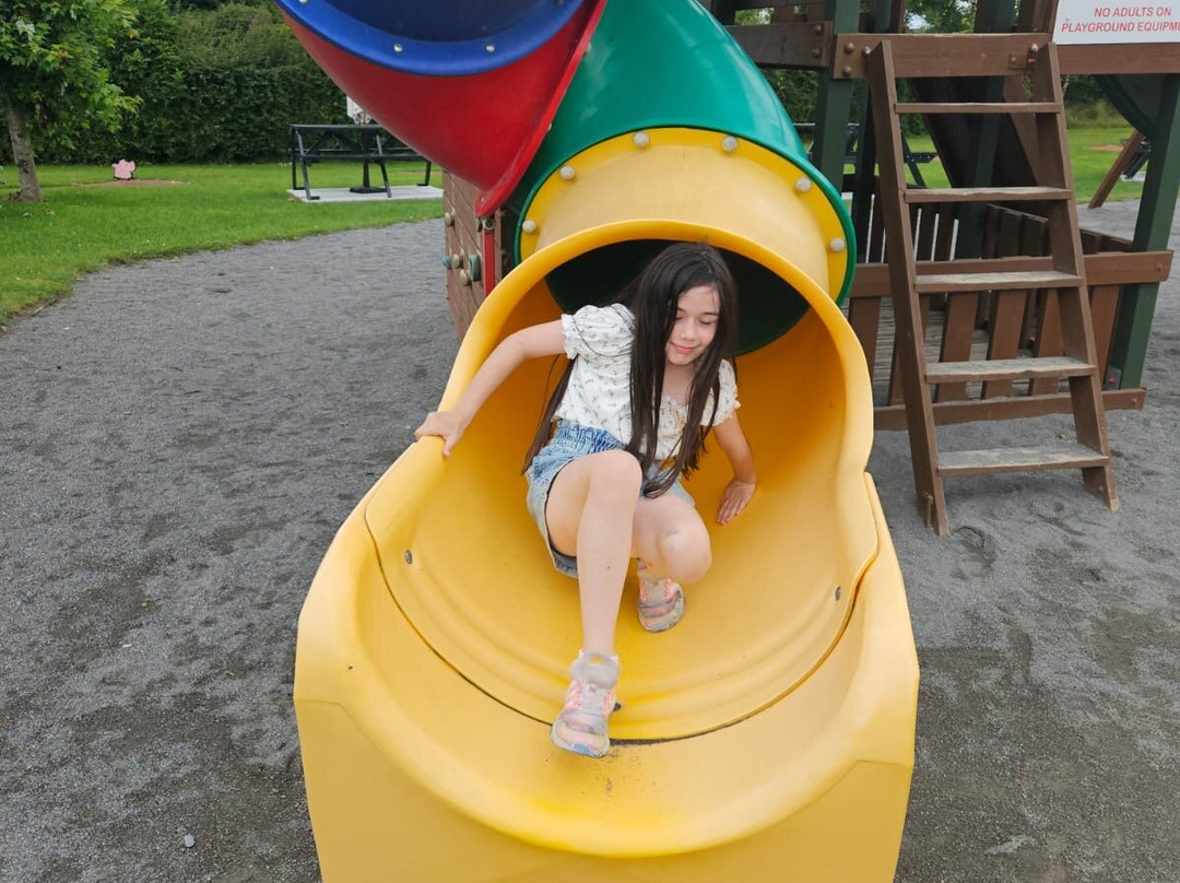 Mollie Moo's Pet Farm-Mullingar必去景点