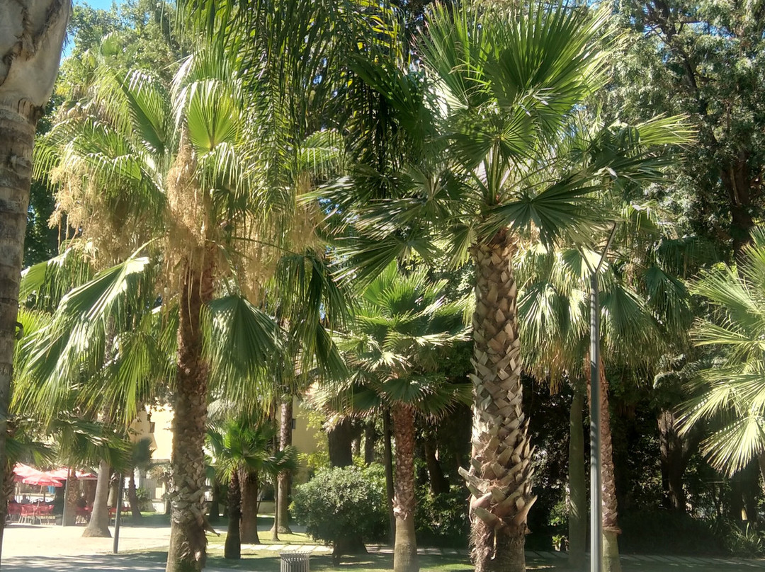 Jardim da Alameda João de Deus-法罗必去景点
