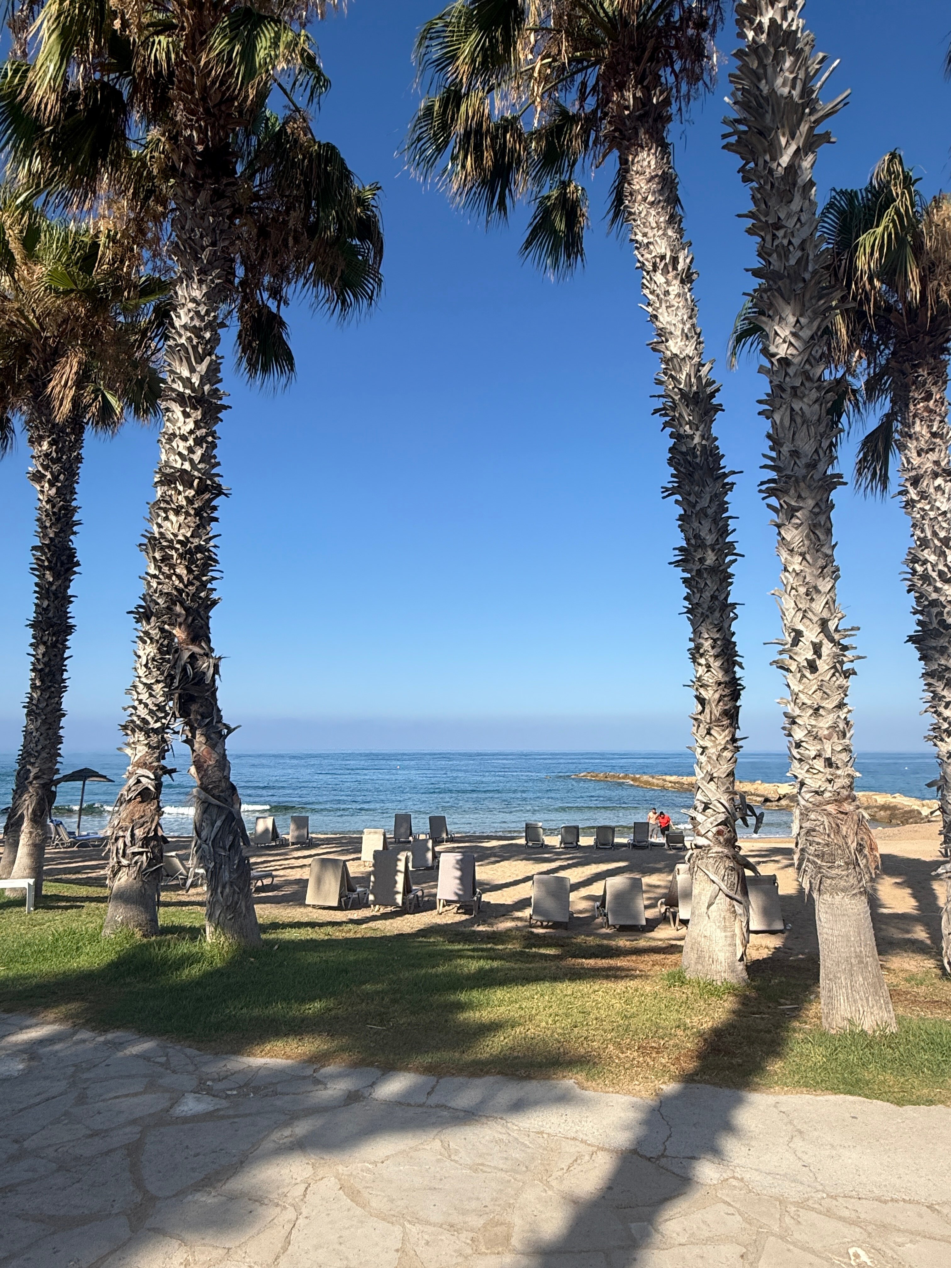 Louis Ledra Beach-官方