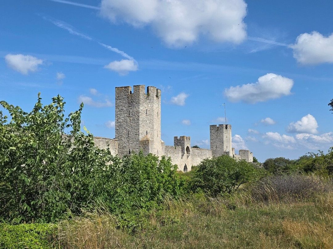 Visby City Wall-维斯比必去景点
