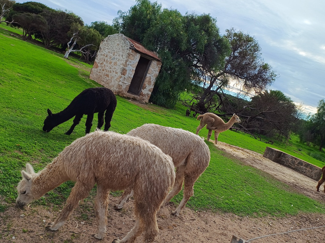 Central Greenough-Greenough必去景点