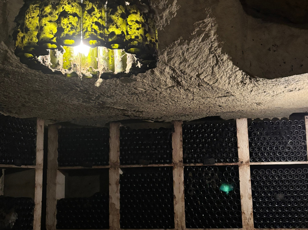 Vignoble de la Jarnoterie-Saint Nicolas de Bourgueil必去景点