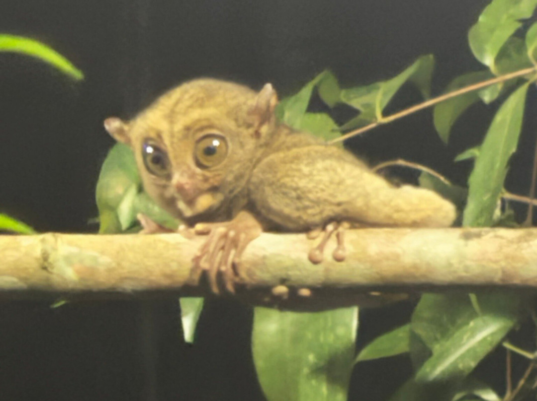 Bukit Peramun-勿里洞岛必去景点