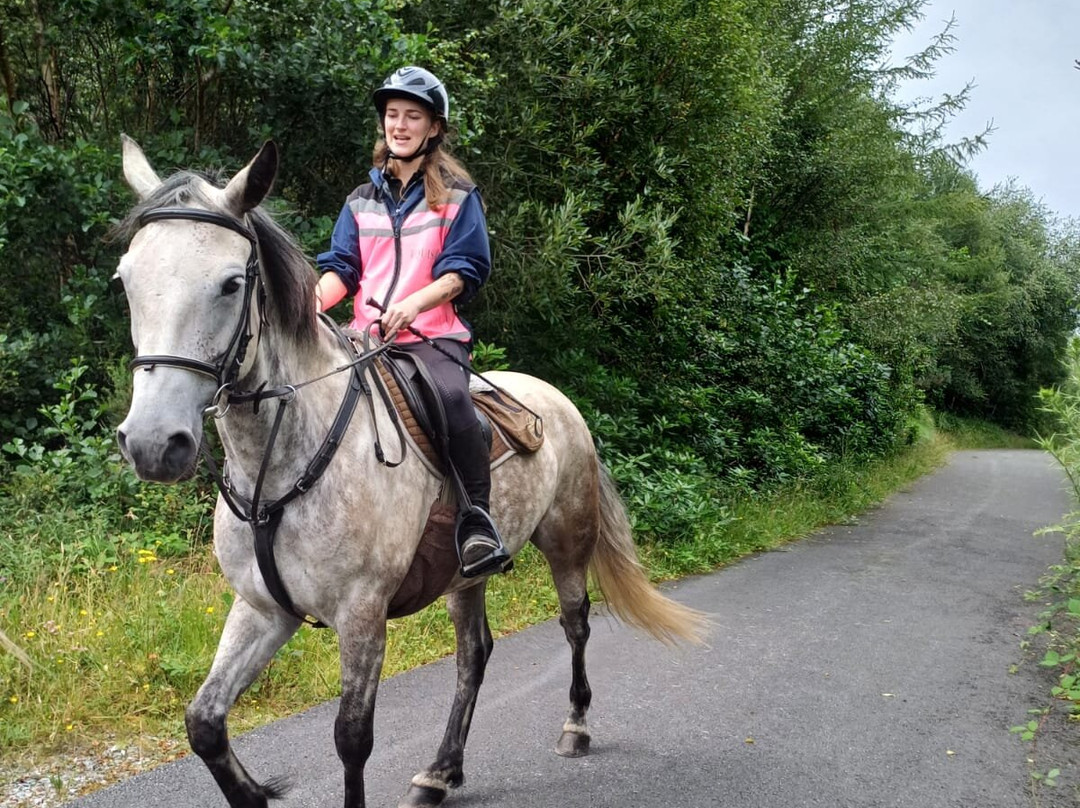 Connemara Equestrian Escapes-Moycullen必去景点