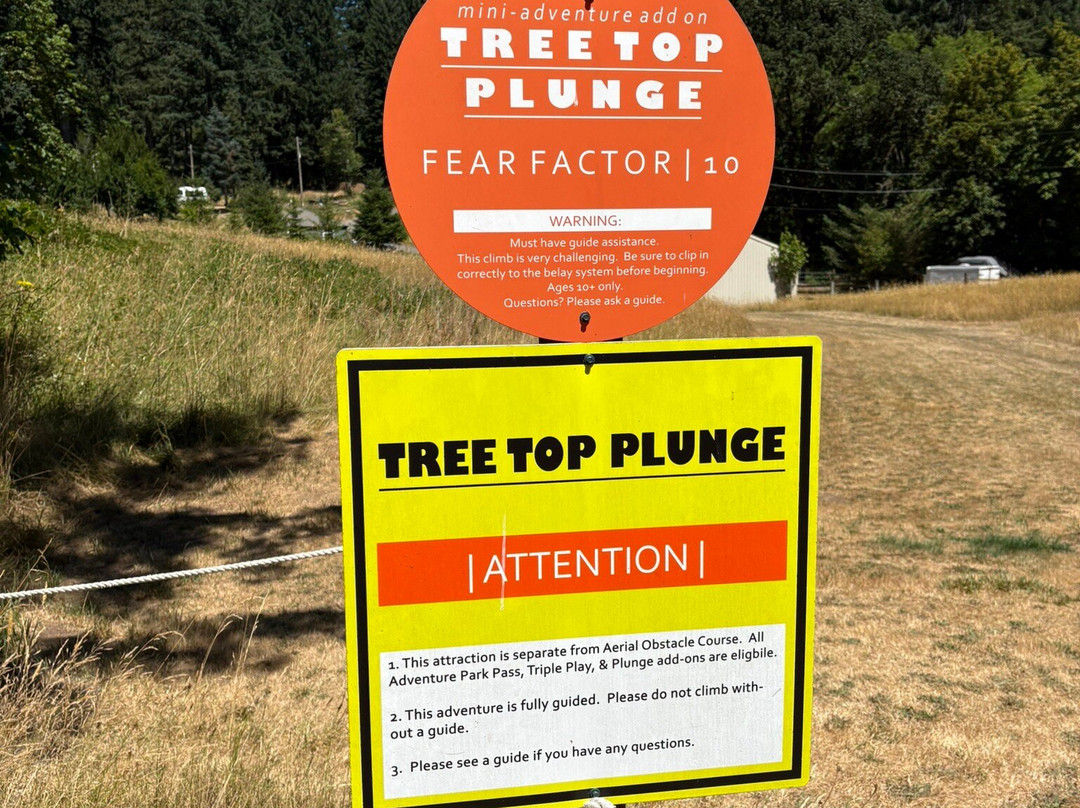 Tree to Tree Adventure Park-Gaston必去景点