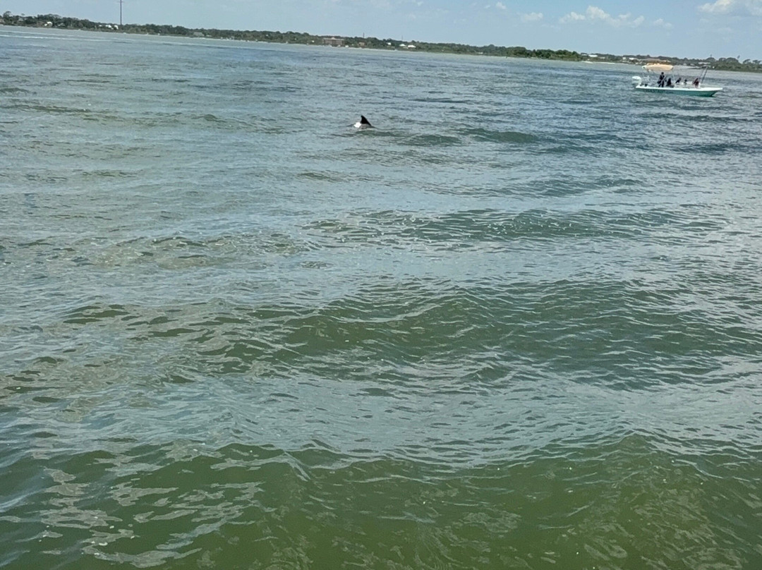 Red Boat Water Tours-圣奥古斯丁必去景点