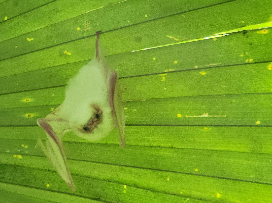 Nature Escapes-Bahia Drake必去景点