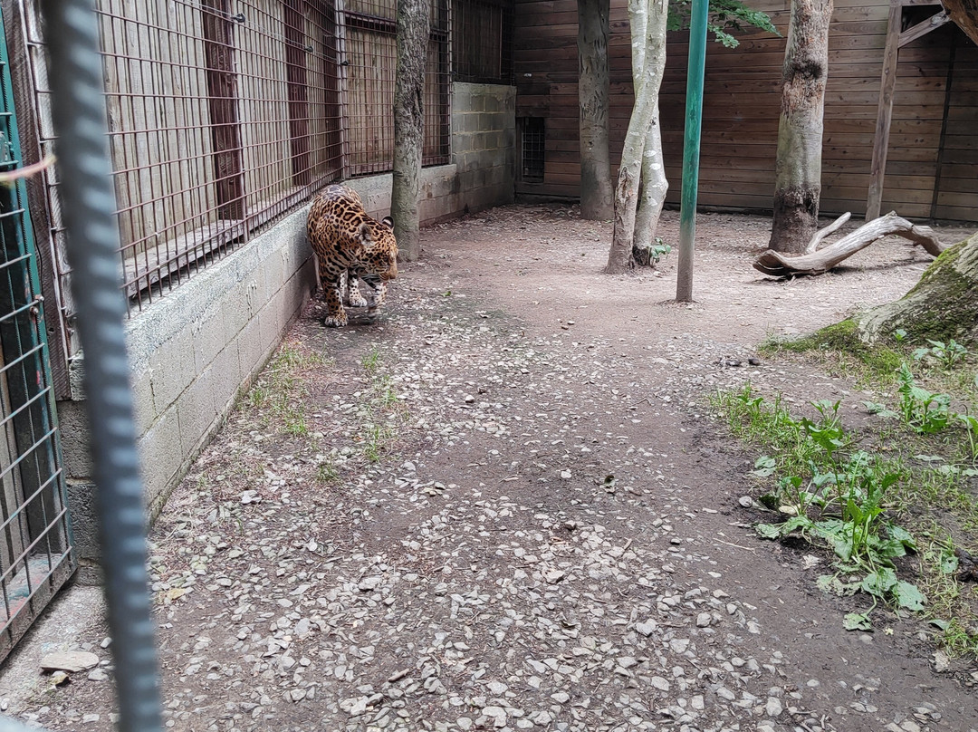 Bouillon Wildlife Park-布容必去景点