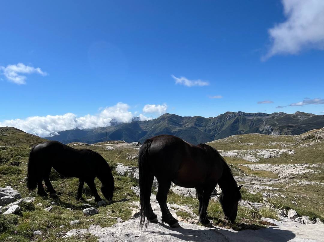 圣佩拉约旅馆主图