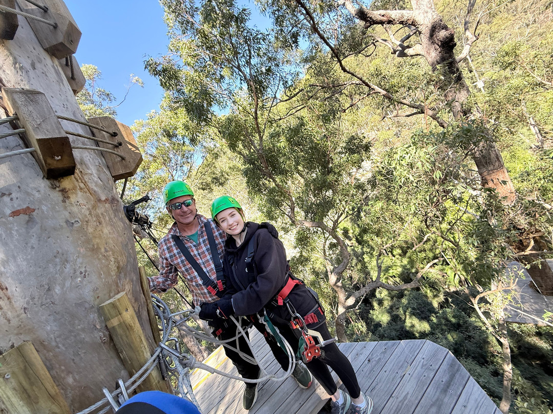 Treetop Challenge - Canyon Flyer-丹百林山必去景点