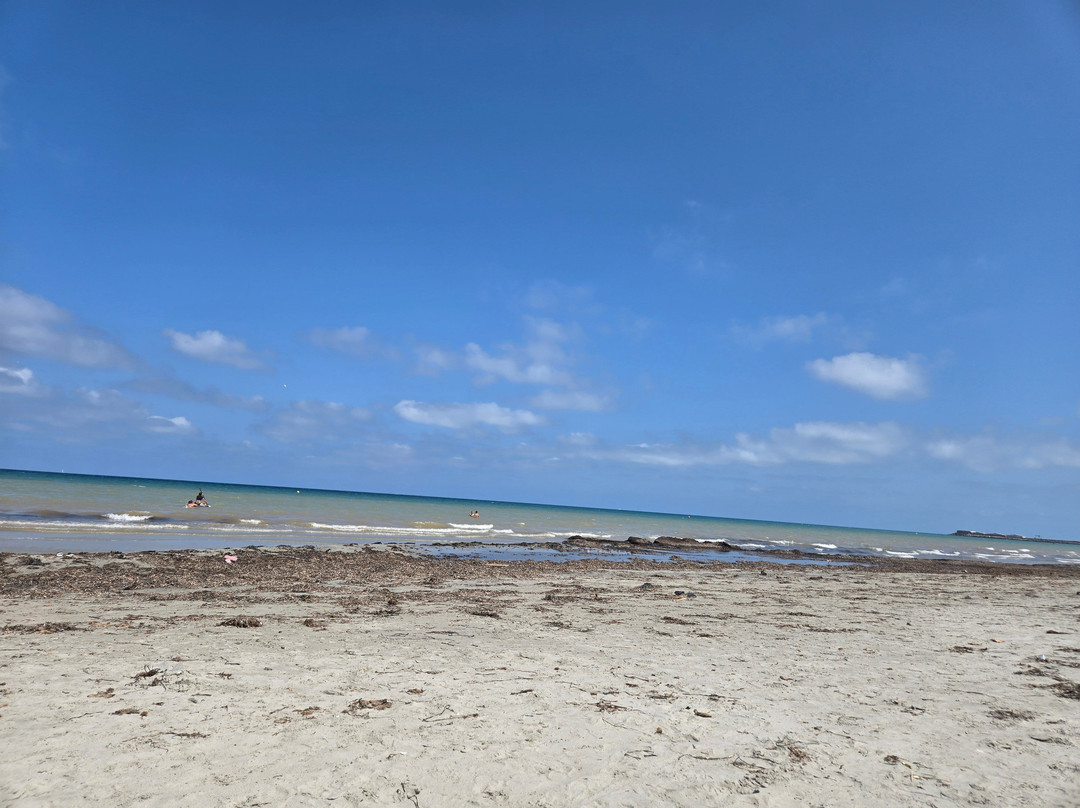 Playa de la Llana-Lo Pagán必去景点