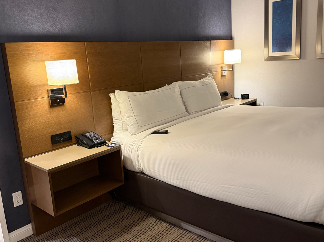 托伦斯希尔顿逸林酒店主图