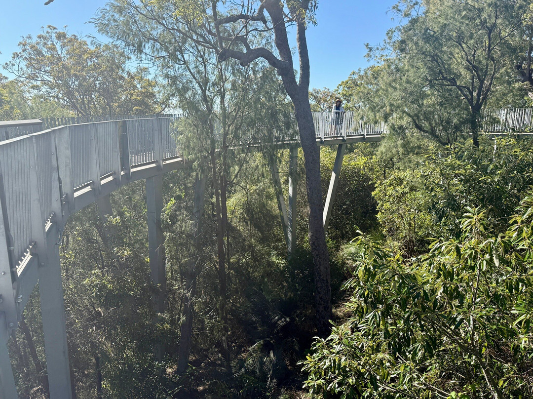 Mount Archer (Nurim)-罗克汉普顿必去景点