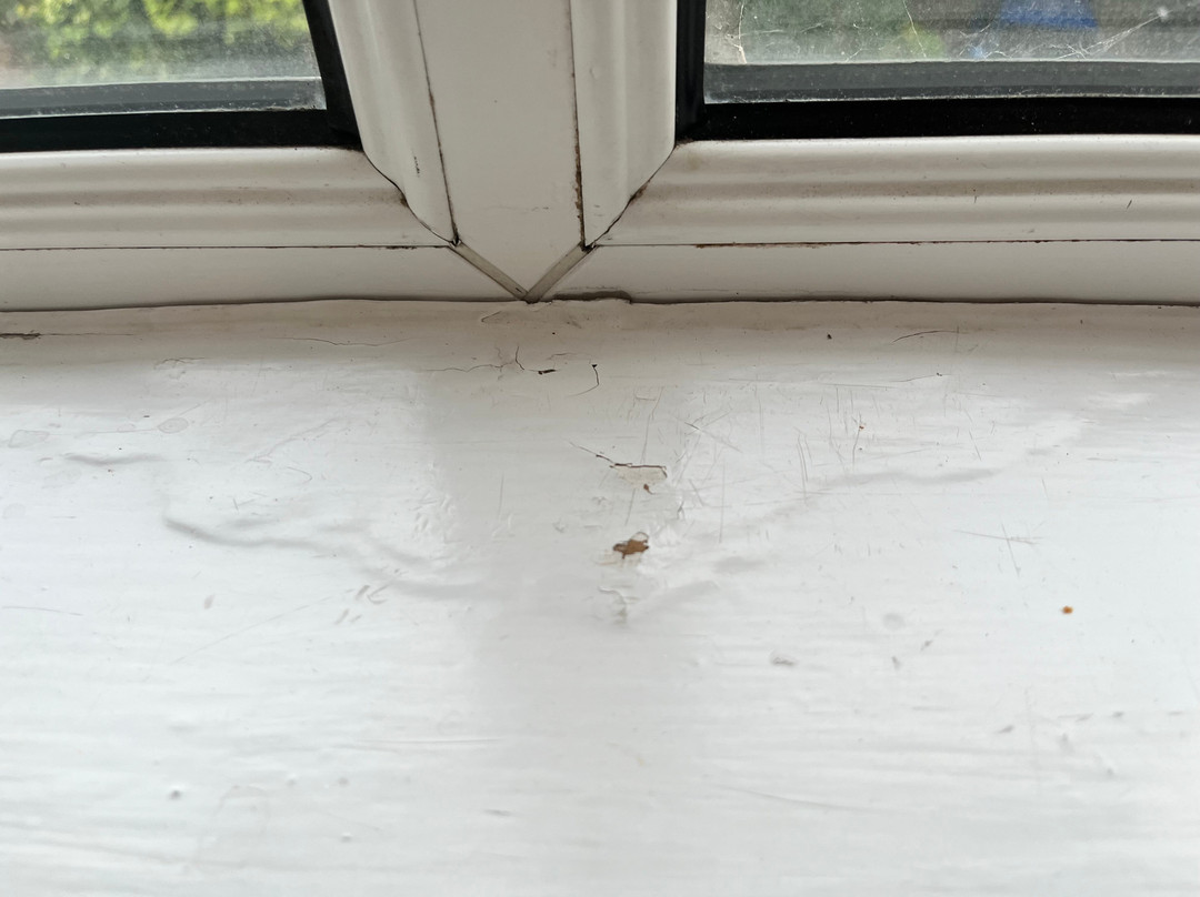 雅诗阁酒店主图