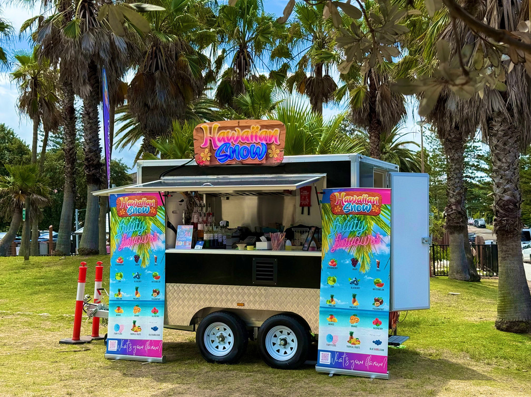 Hawaiian Snow Cones Shave Ice