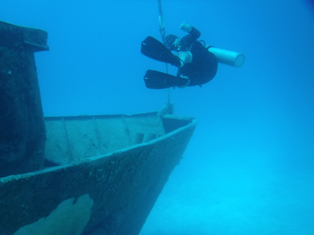 Blue Water Divers & Watersports-Sandys Parish必去景点