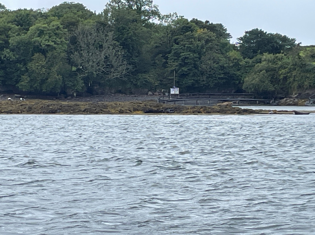 Bantry Bay Boat Hire-Bantry必去景点