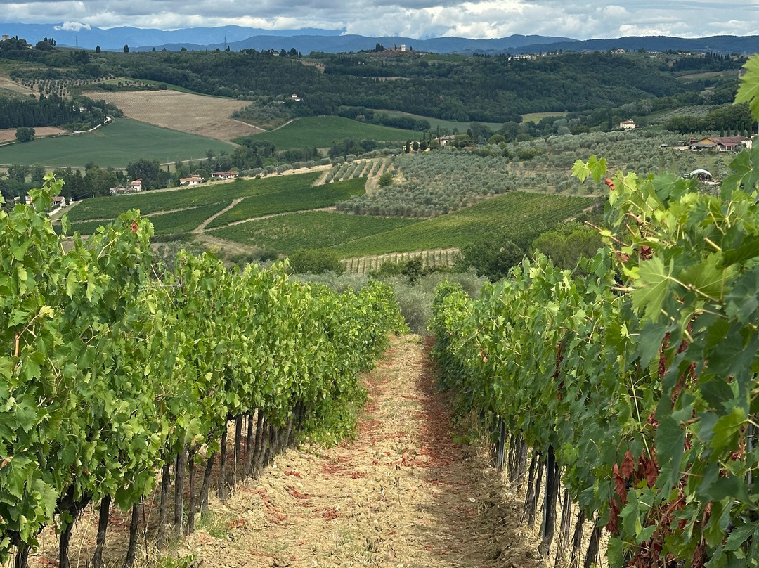 Tuscany 4 Explore-佛罗伦萨必去景点