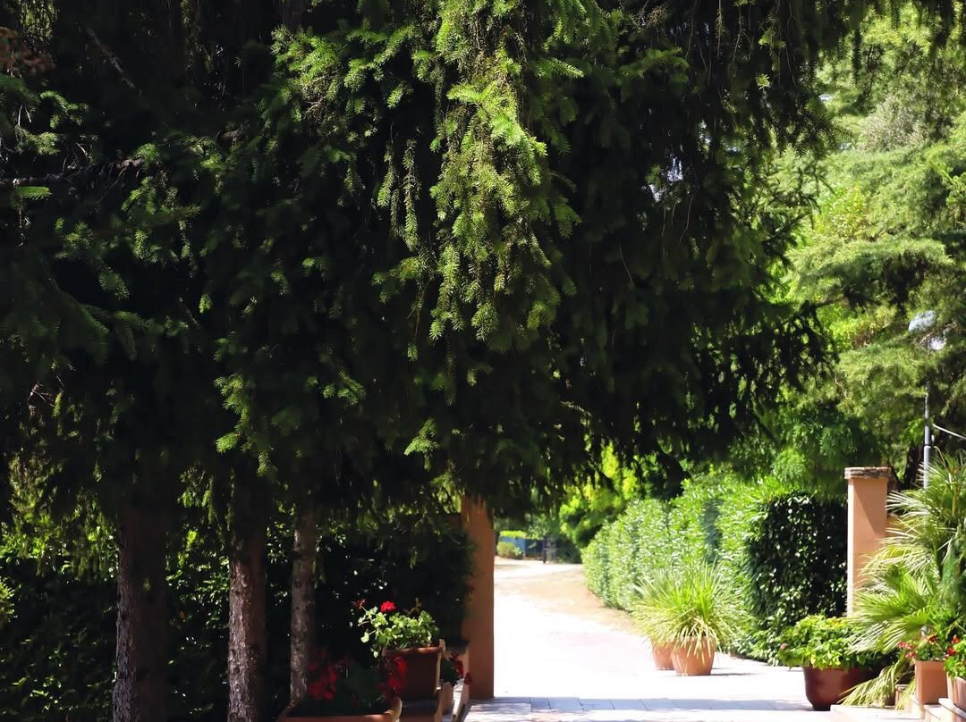 Ristorante La Foresta