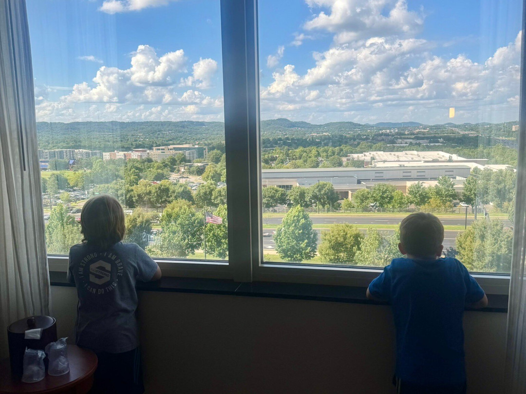 Drury Plaza Hotel Nashville Franklin主图