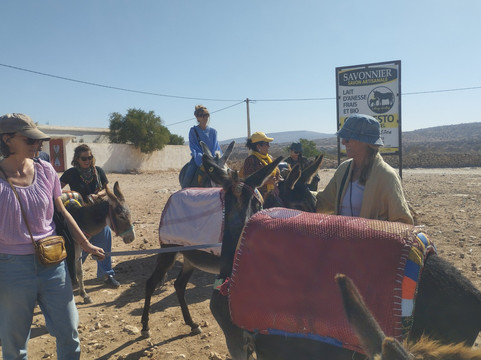 Village Donkey-索维拉必去景点