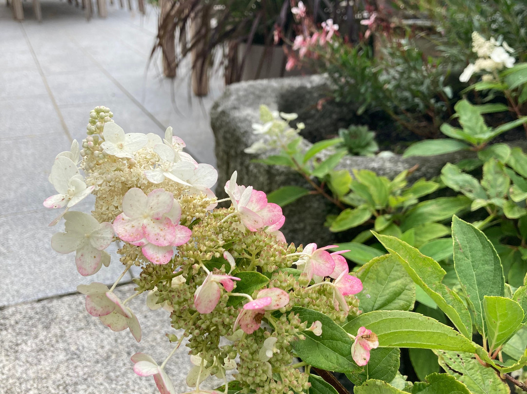 Gartenzimmer主图