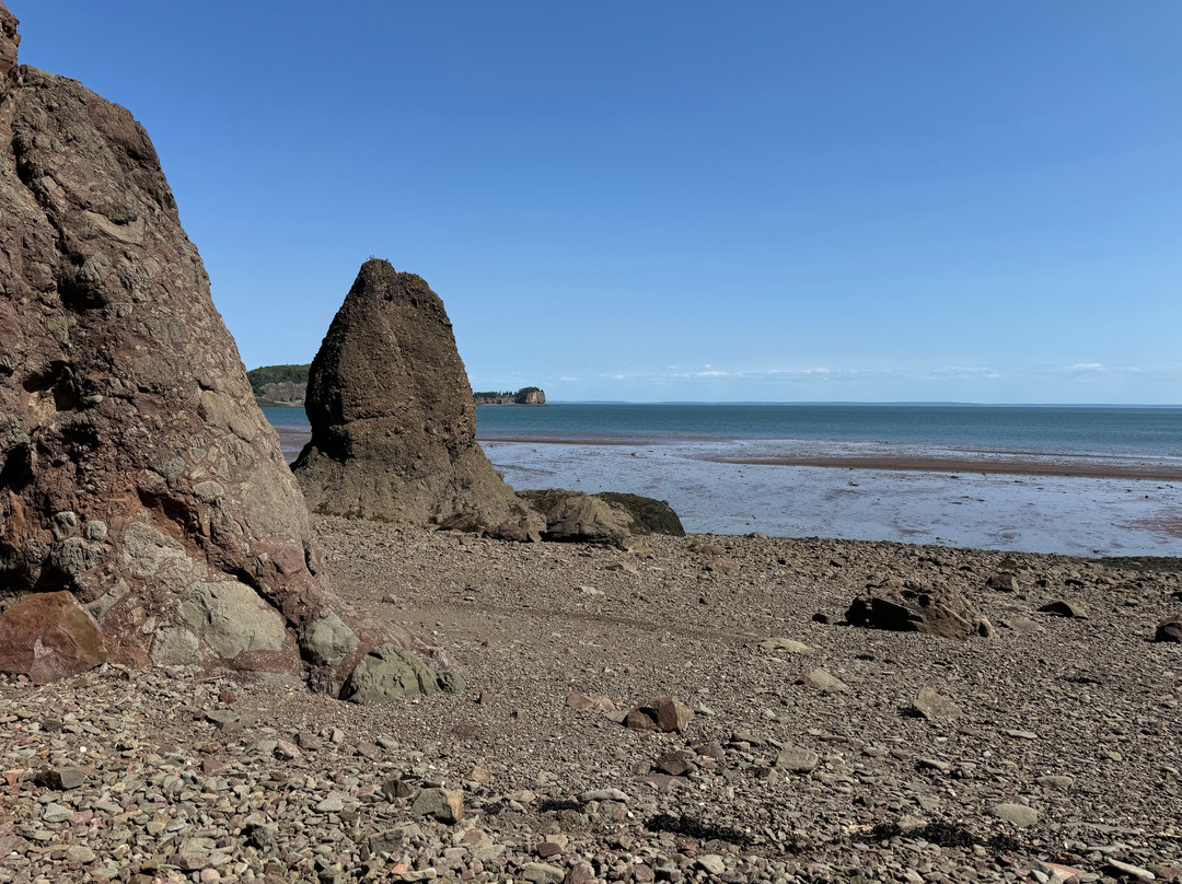Fundy Treasure Tours-Joggins必去景点