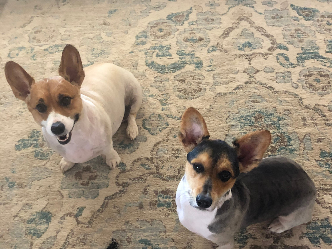 Cobblestone Hotel and Suites - Torrington主图