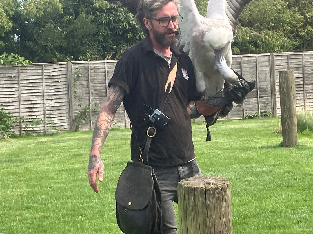 Baytree Owl and Raptor Centre-Spalding必去景点