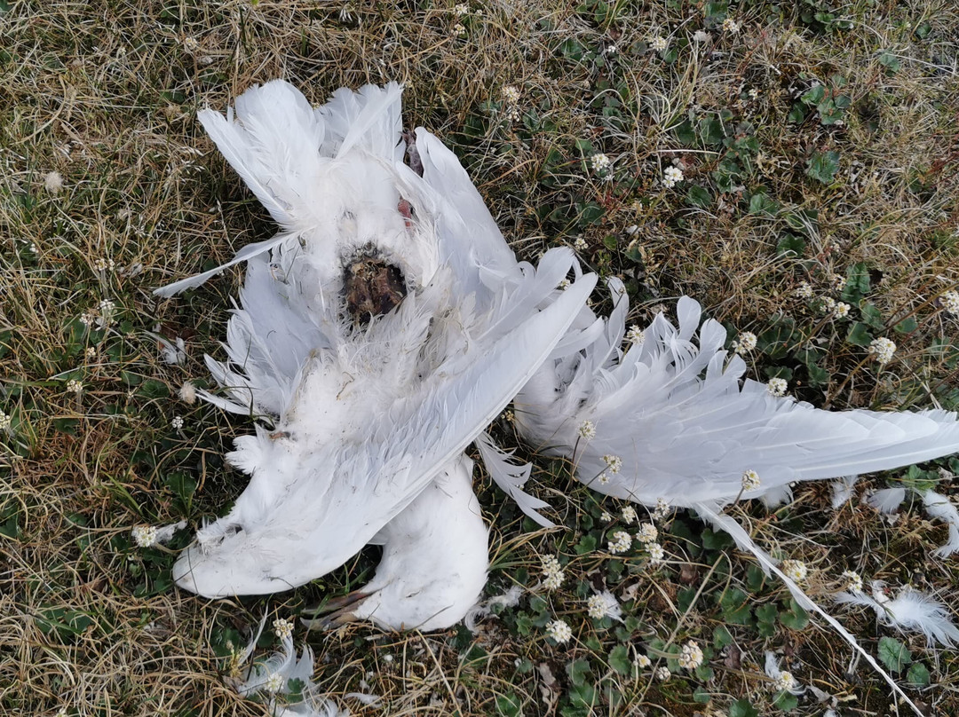 Barrow Beach-巴罗必去景点