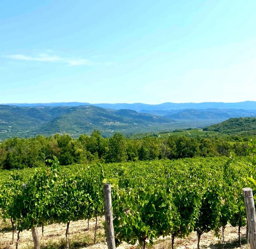 Istra Grand Tour-Vizinada必去景点