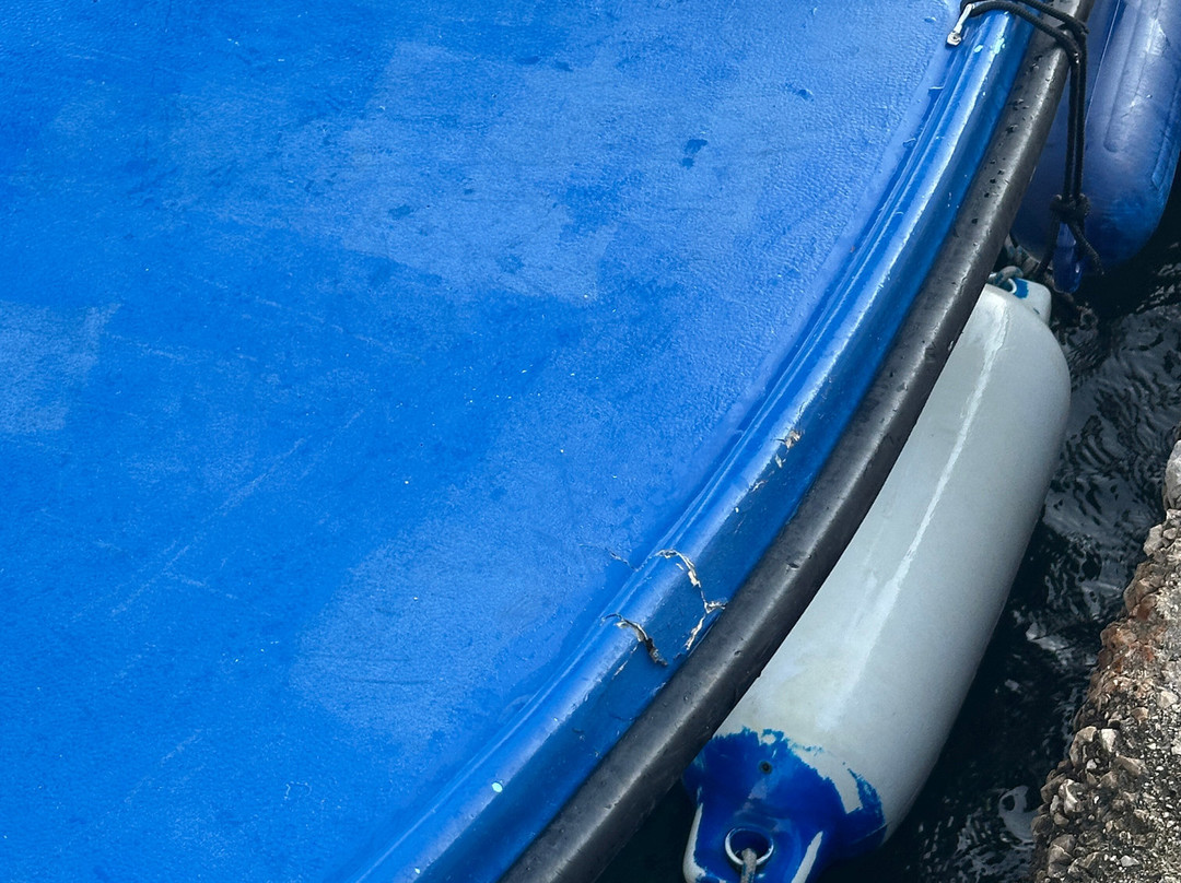 Mala Mara-Mokosica必去景点